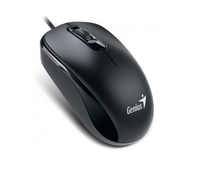 Mouse Genius DX-110 PS2 negro