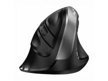 Mouse Genius Ergo inalmbrico silver