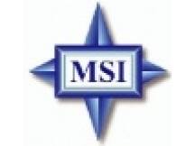 MSI